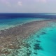 Coral Reefs - VideoHive Item for Sale