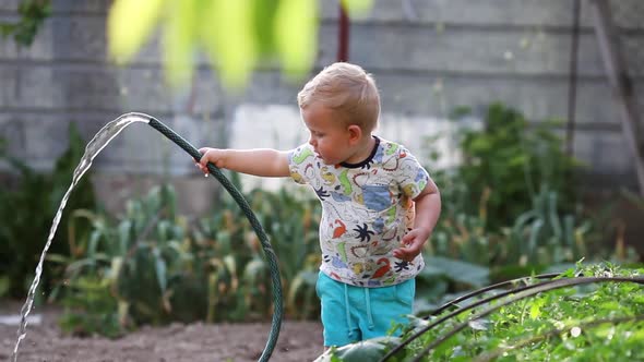 Little boy holds a hose in his hands, plays with water and watered the garden