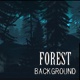 Forest Background - VideoHive Item for Sale