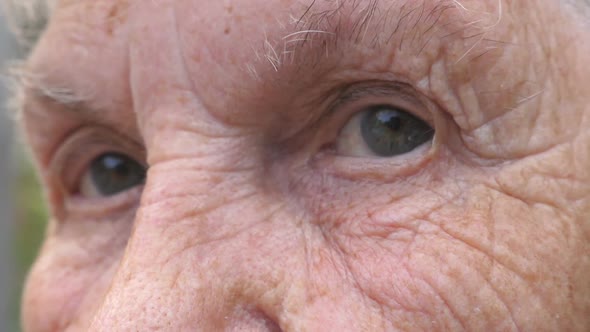 Close Up Gray Eyes of Elderly Woman with Wrinkles Around Them. Portrait of Grandmother alt