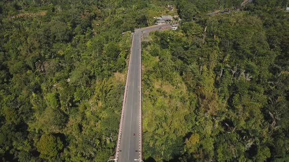 Bridge Over Mountain Canyon Jungle alt
