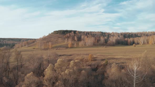 Autumn Forest Aerial alt
