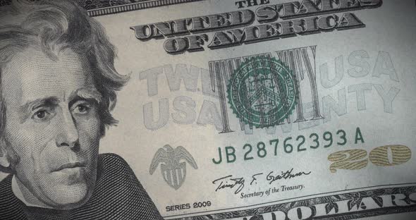 20 Dollars, Twenty Dollars Looped Animation. alt