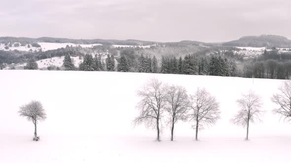 A man is walking with his dog through the snow, wonderful winter season landscape 4k video from a dr alt