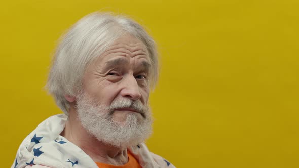 Portrait Of An Elderly Man With Beard alt