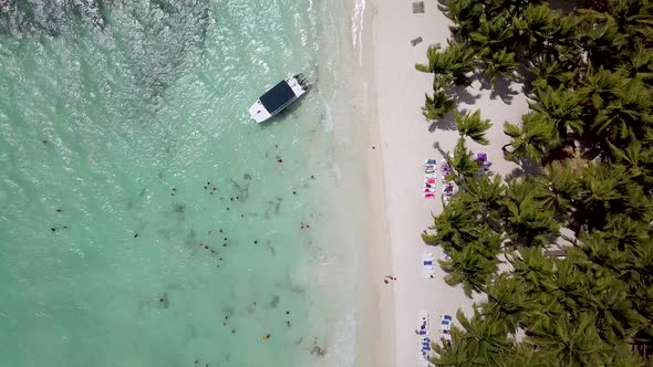Drone View of Tropical Beach with White Sand Palms and Azure Water at Saona Island