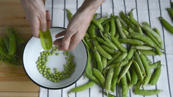Mans Hand Shelling Fresh Ripe Green Peas Bean