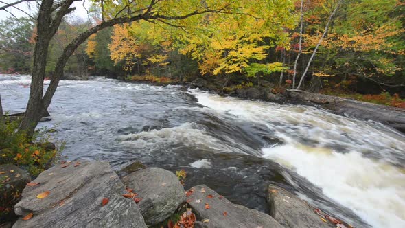 Huge Boulders and Colorful Fall Forest on a Riverside