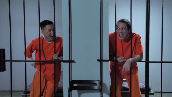  The Prisoners Are Going Crazy alt