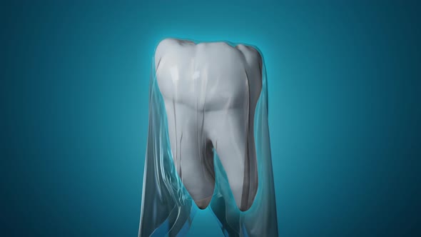3D tooth covered by protection layer