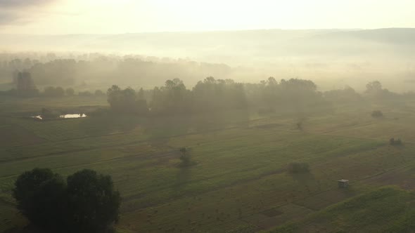 Fog over the agricultural valley and trees 4K drone footage alt