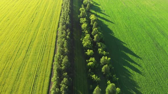  Aerial of Flying Over a Beautiful Green Meadow