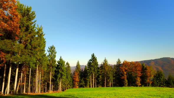 Autumn Forest and Meadows on a Sunny Day