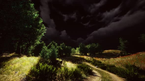 Thunderstorm Clouds with Lightning in Green Meadow alt
