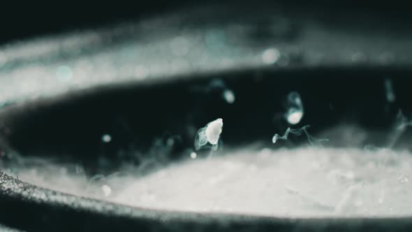 Smoking Cold Dry Ice Pieces Pop on a Bass Loudspeaker alt