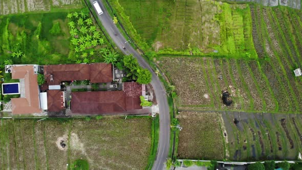 Bird's Eye View of Rice Fields in Bali, Indonesia