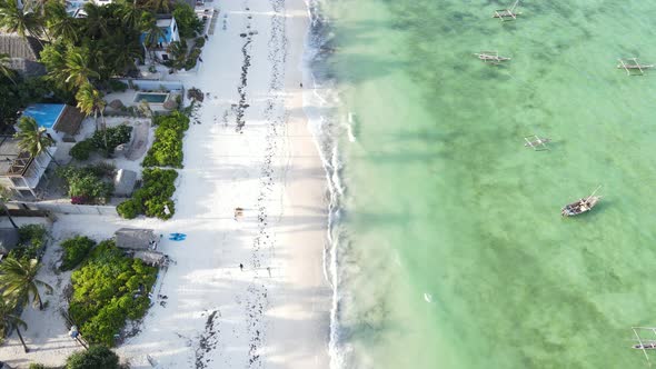 Zanzibar Island Tanzania  Aerial View of the Beach Near the Shore Slow Motion alt
