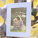 Photo Gallery on an Autumn Afternoon - VideoHive Item for Sale