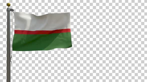 Florida City Flag (Puerto Rico) on Flagpole with Alpha Channel - 4K alt