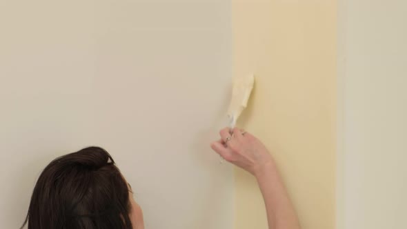 Female House Painters Paint the Walls in the Room.