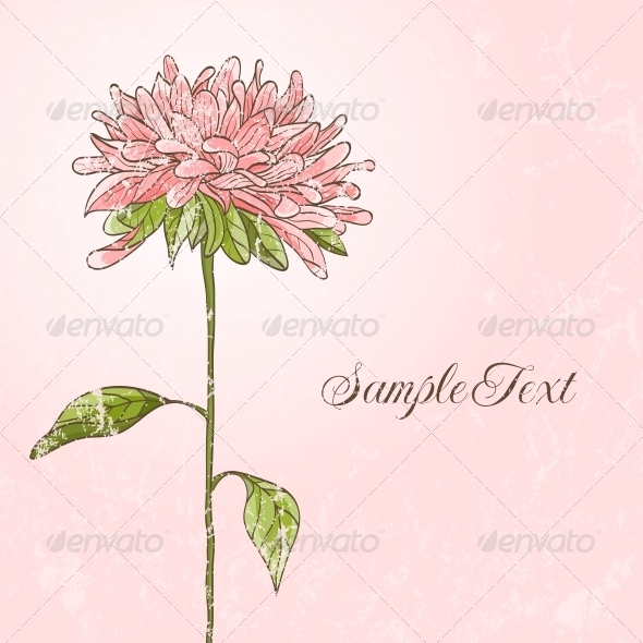 Hand Drawn Flower - Flowers & Plants Nature