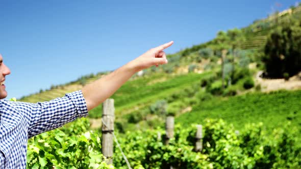 Happy couple pointing at distance in vineyard alt