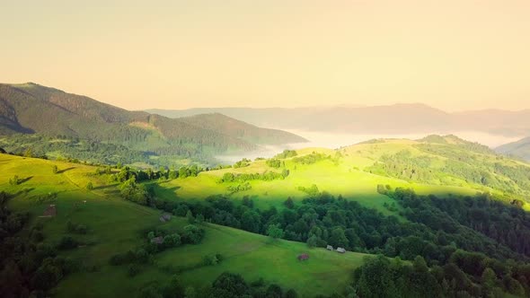 Aerial View of the Endless Lush Pastures of the Carpathian Expanses and Agricultural Land