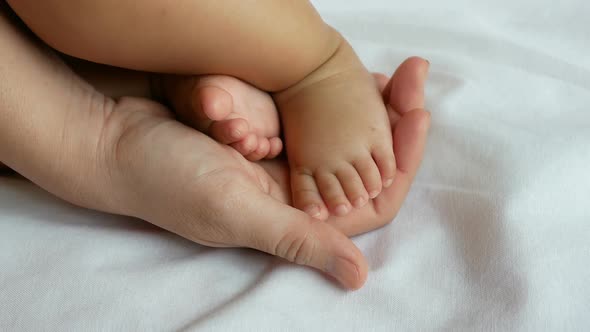 Baby Feet In Mother Hand by Mito507 | VideoHive