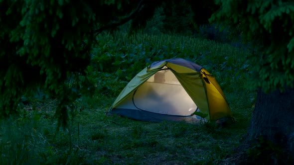 A Man in a Tent in the Night Forest alt