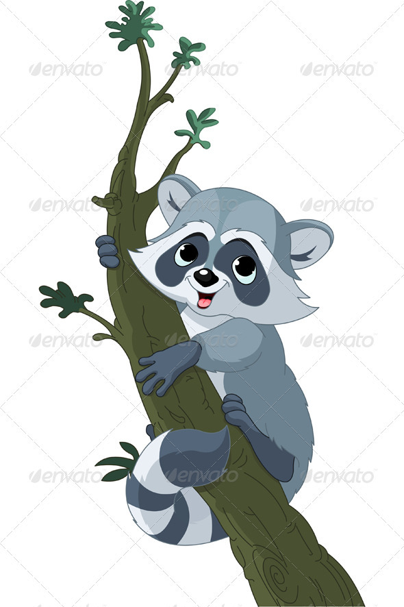 Funny cartoon raccoon on the tree - Animals Characters