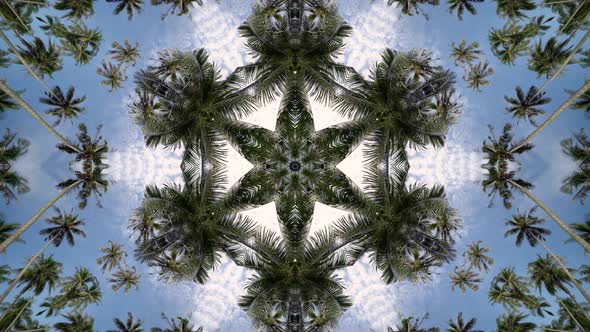 Palm tree in blue sky kaleidoscopic alt