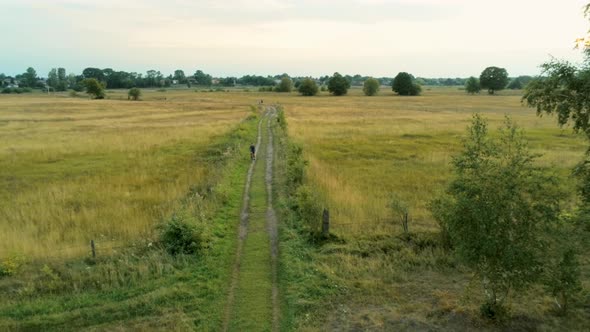 Aerial Long Shot of Young Man Riding Bike on Country Road at Summer Sunset