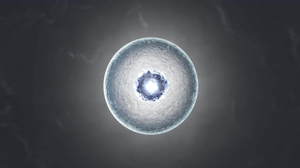 3D rendered Animation of a vibrating living cell