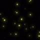 Fireflies - VideoHive Item for Sale