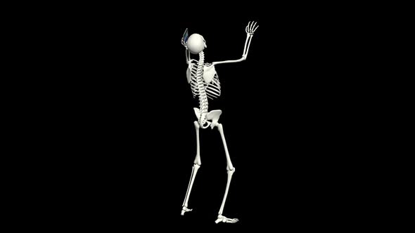 Phone Talking Skeleton