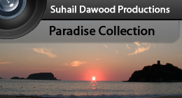 Paradise Collection - SD Productions