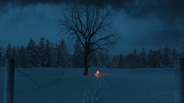 Bonfire With Sparks And Particles At Snow Covered Field Next To A Single Tree