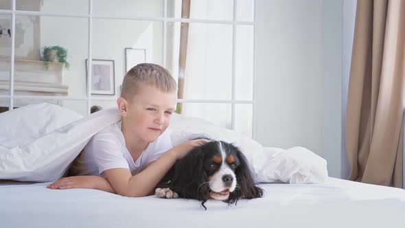 Happy Caucasian Boy in a White Tshirt Lies on a Bed Under a Blanket in the Bedroom Hugs a Dog and alt