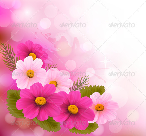 Holiday Background with Three Pink Flowers - Flowers & Plants Nature