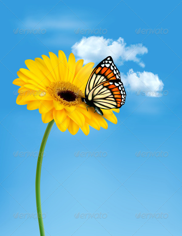 Nature Summer Yellow Flower with Butterfly - Flowers & Plants Nature