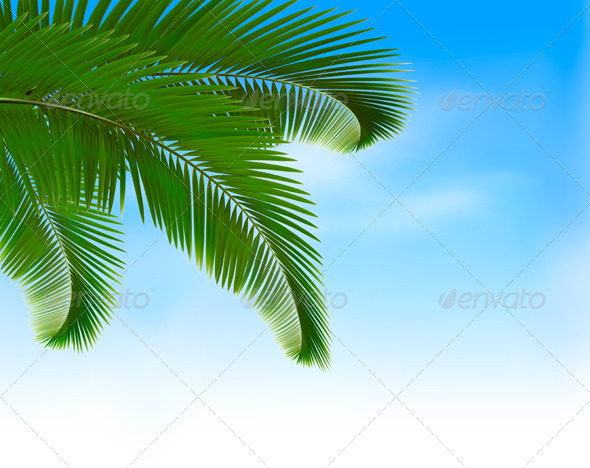 Palm Leaves on Blue Background. - Flowers & Plants Nature