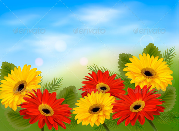Nature Background with Colorful Flowers - Flowers & Plants Nature