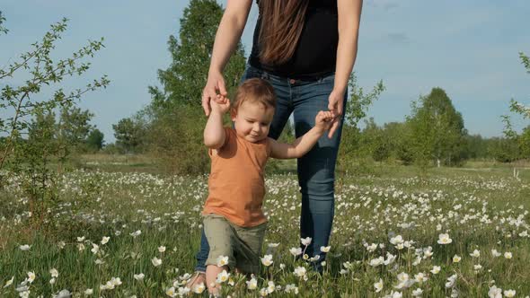 A Young Mother Walks with Her Child in a Flower Field. A Woman Holding Her Son's Hands in the Park