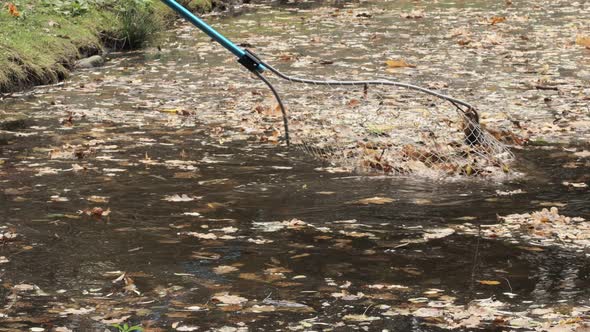 Worker cleaning lake at the park. leaning the lake with a net from the leaves. alt