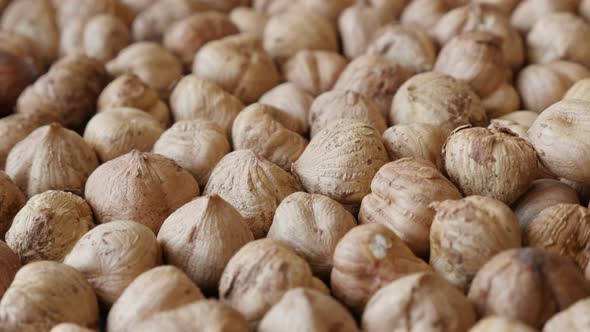 Panning over common hazelnuts  food background  4K 2160p 30fps UltraHD footage - Lot of Corylus avel alt