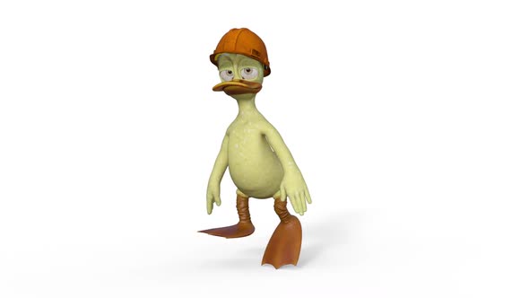 Duckling in a ConstructionHelmet Walking