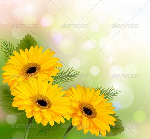 Nature Background with Yellow Flowers - Flowers & Plants Nature