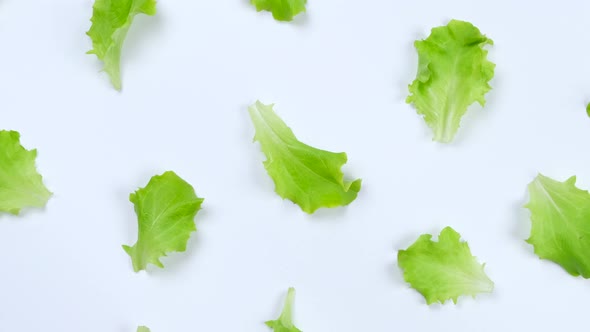 Rotating Vegetable Background of Lettuce Leaves on a White Background