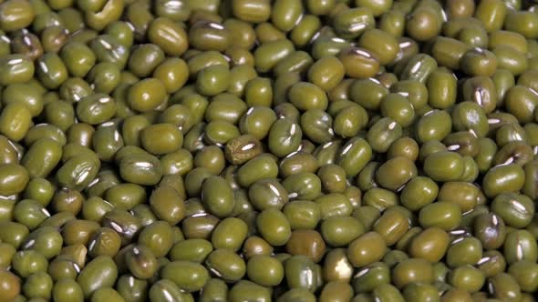 Mung Green Beans