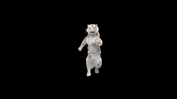 White Tiger Dancing HD alt